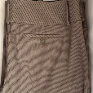 Express Dress slacks
